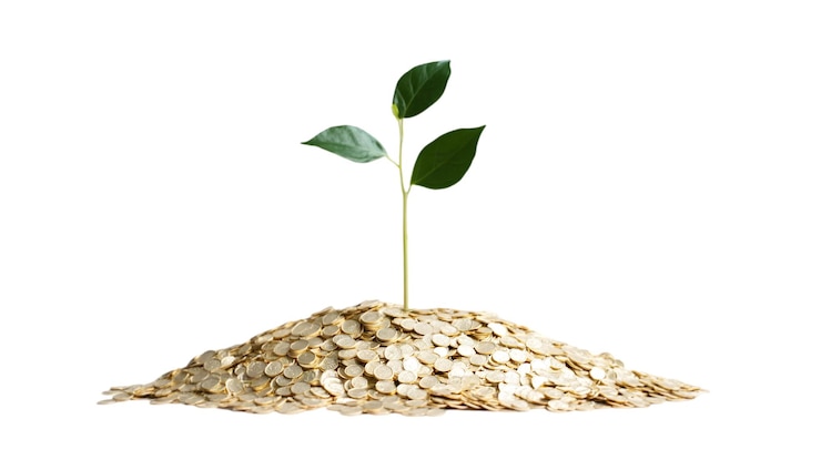 PSD crescimento e investimento