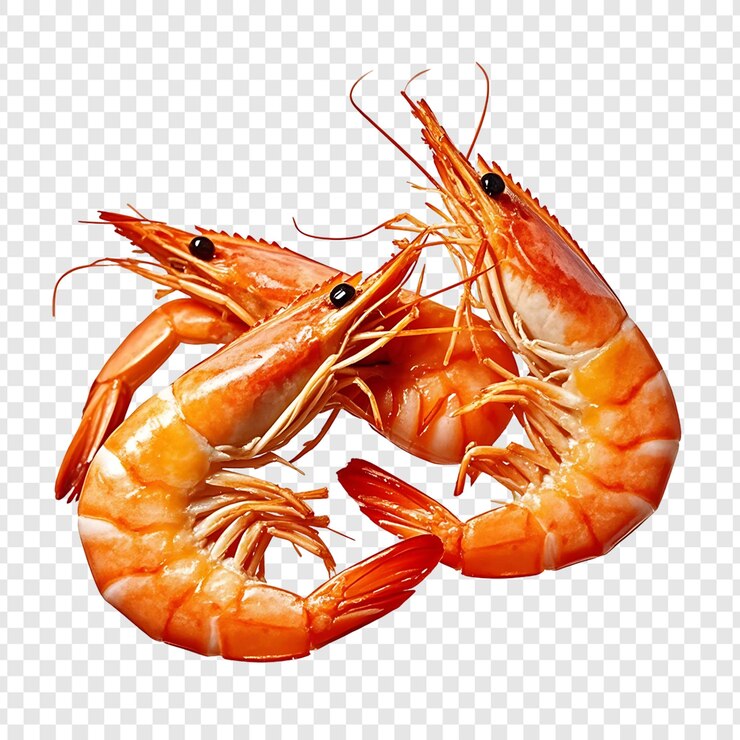 PSD des crevettes cuites isolées sur un fond transparent