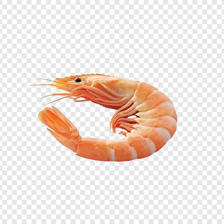 PSD crevettes cuites une seule fois
