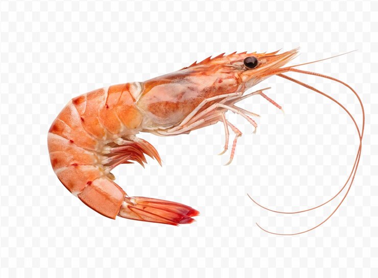 PSD crevettes cuites succulentes