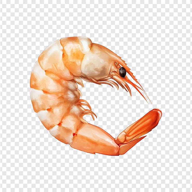 PSD crevettes rouges cuites ou crevettes tigre isolées sur fond blanc