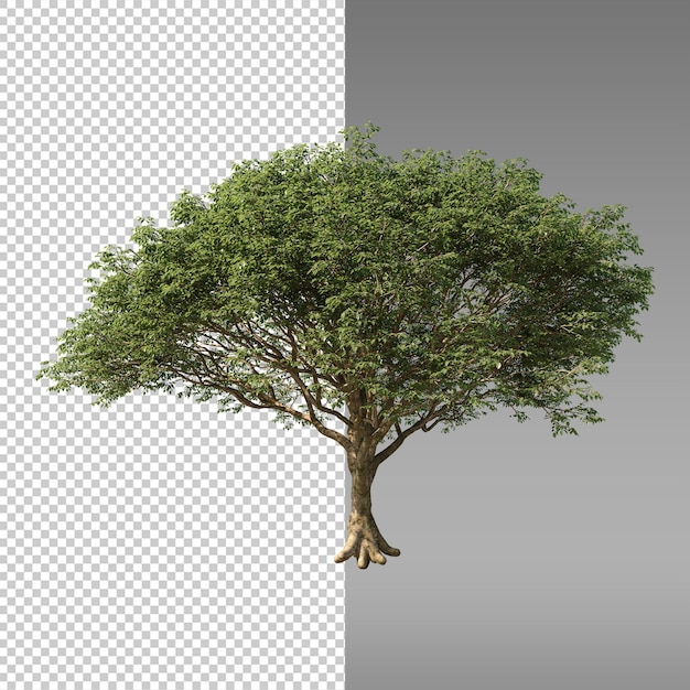 un cuadro de un árbol con un cuarto de un árbol