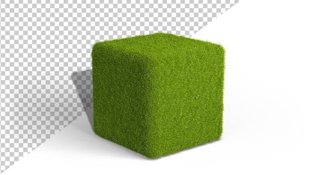 Cubo de hierba verde aislado en un fondo blanco Cubo cubierto de hierba 3d render
