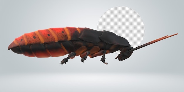 La cucaracha oriental aislada sobre un fondo transparente