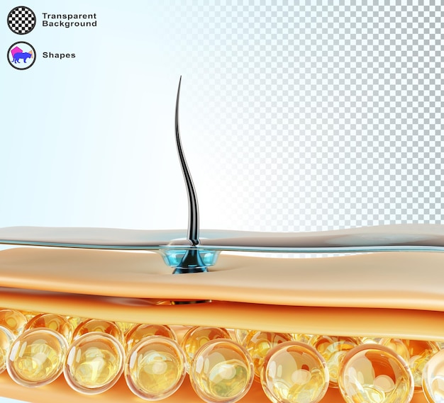 Cuidados com o cabelo 3d render macro fundo Estrutura do couro cabeludo da pele da camada de água epiderme célula de gordura e folículo restauração de queratina shampoo nutrir tratamento ou conceito de transplante