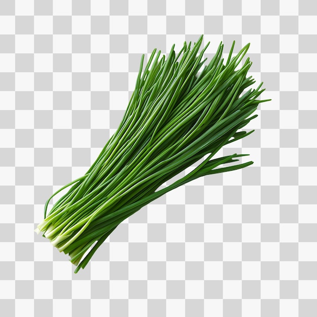 Culinary Fresh Chive Sprig Ideal para recetas y blogs de comida