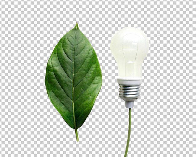 PSD cultivo de árboles con bombilla con luz solar en la naturaleza ahorro de energía y concepto ecológico