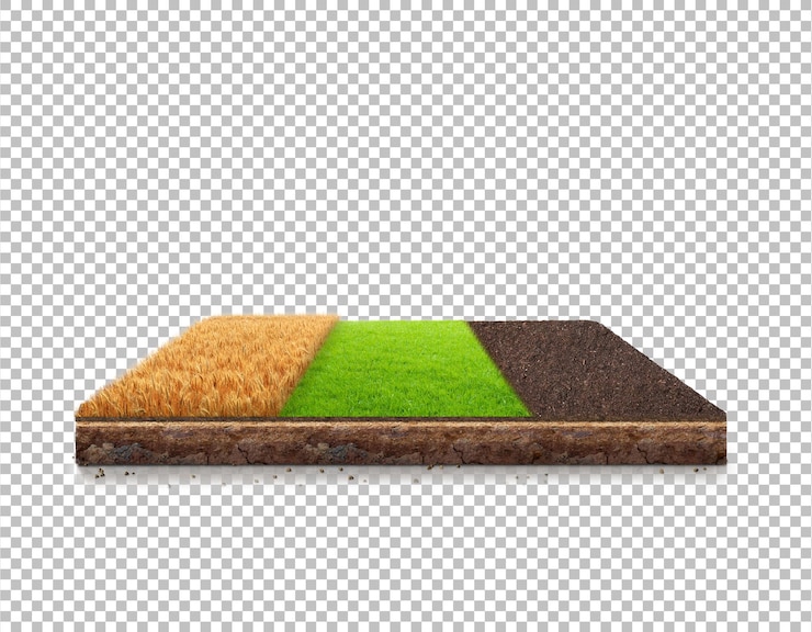 PSD cultivos agrícolas de trigo granja isomérica con cultivo de suelo y trigo granja aislada granja de prado granja de diseño