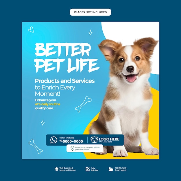 Cura degli animali domestici Media sociali Progettazione di marketing Promozione del cane PSD Editabile