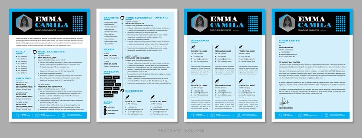 Curriculum vitae di uno sviluppatore front-end professionista