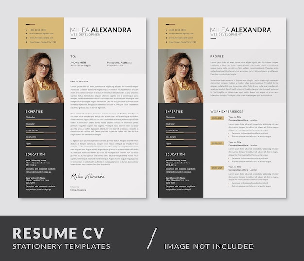 CV Curriculum Design Modelli PSD