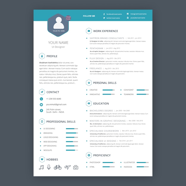 CV professionnel