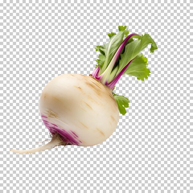 Daikon ráfago png concepto de verdura saludable aislado en un fondo transparente