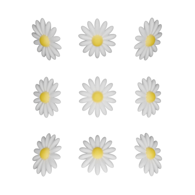 Daisy 3D icon or symbol