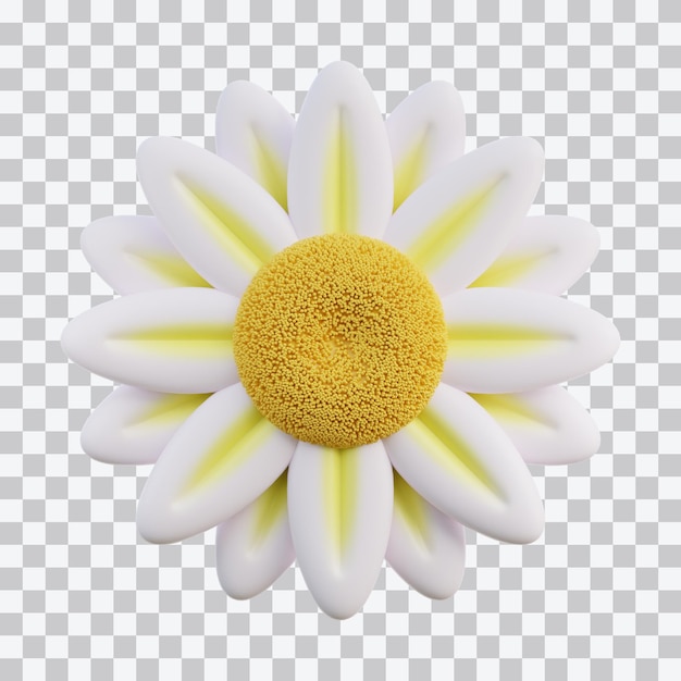 Daisy 3D-Illustration
