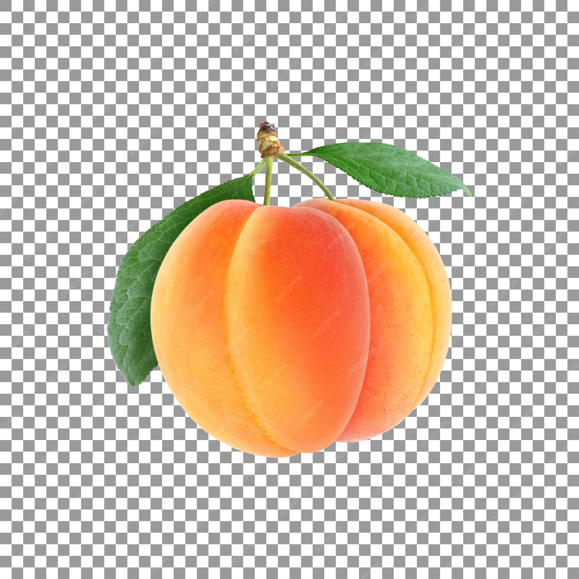 fresco saboroso Damasco fruta com semente isolado em transparente fundo  24108763 PNG