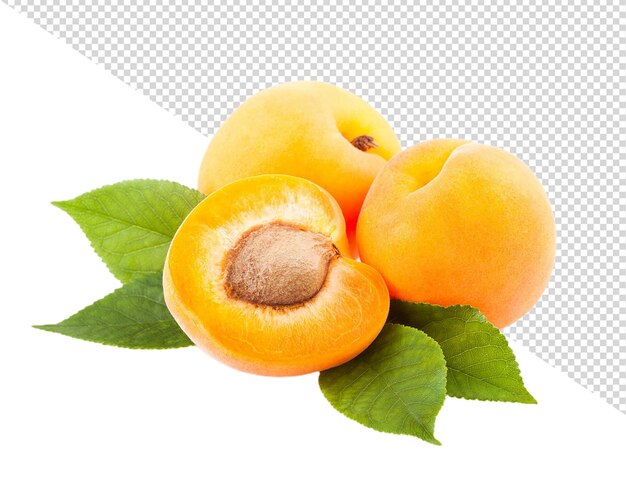 fresco saboroso Damasco fruta com semente isolado em transparente fundo  24108763 PNG