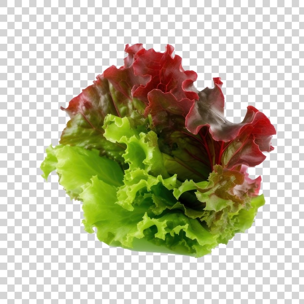 PSD das grün-rote salatblatt frisches gemüse transparente png-cliparts