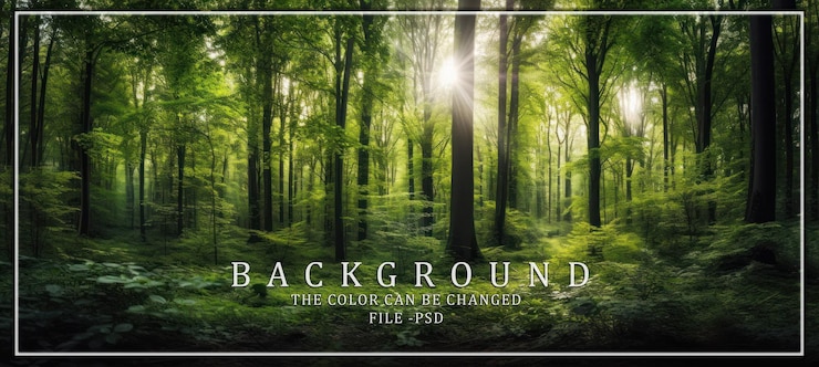 PSD das sonnenlicht filtert durch einen üppigen wald