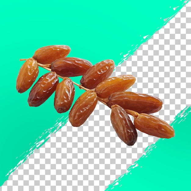 Dátiles secos aislados sobre fondo transparente png psd