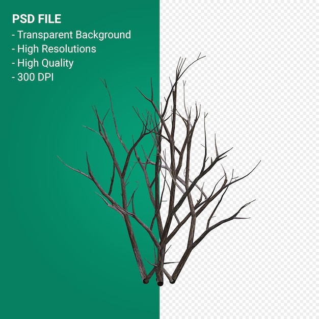 Dead Plant 3d rendern isoliert
