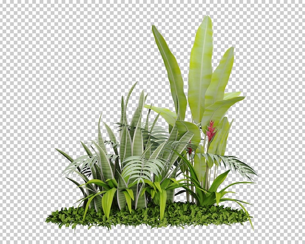 Decoração de plantas tropicais isoladas