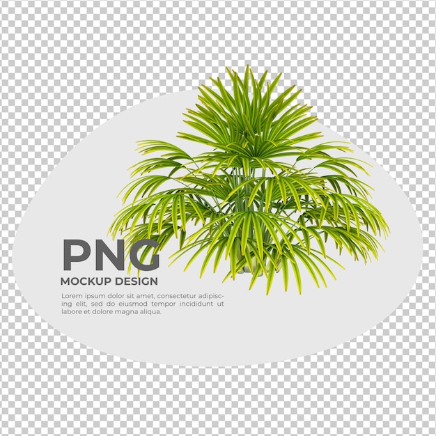 PSD decoração isolada de planta em vaso em renderização 3d