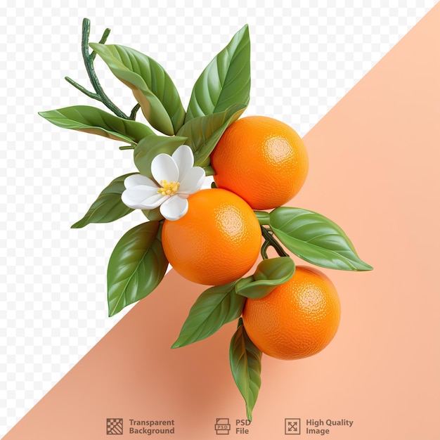 PSD decoração plástica laranja isolada em fundo transparente