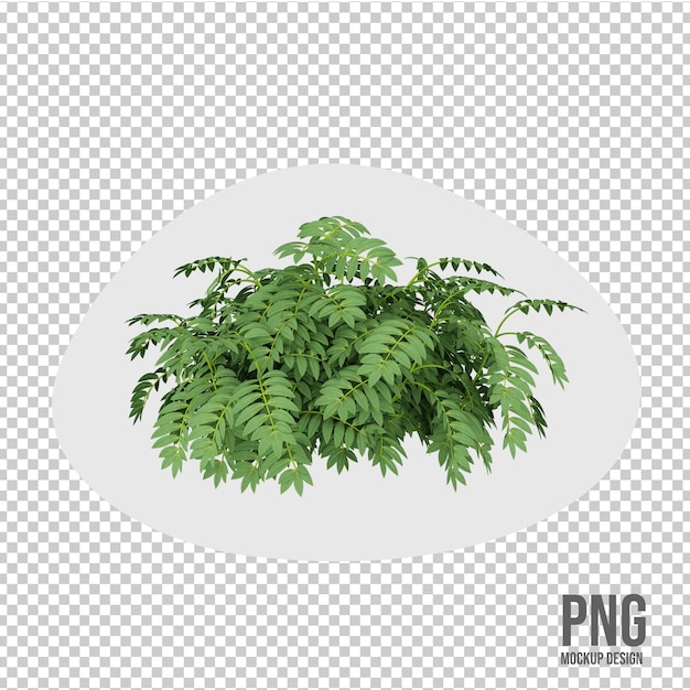 PSD decoración aislada de plantas en maceta en renderizado 3d