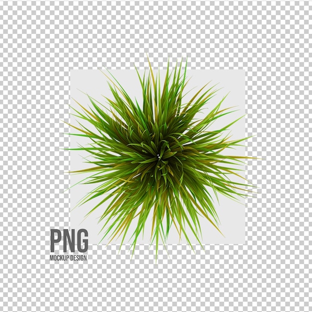 Decoración aislada de plantas en maceta en renderizado 3d