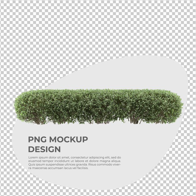 decoración aislada de plantas en maceta en renderizado 3d