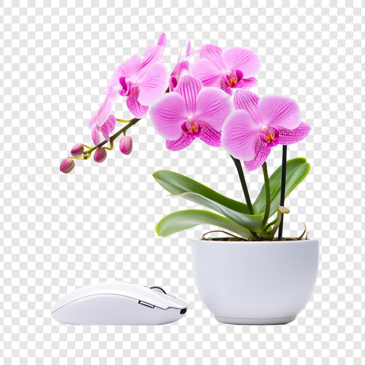 PSD decoración floral aislada en transparente