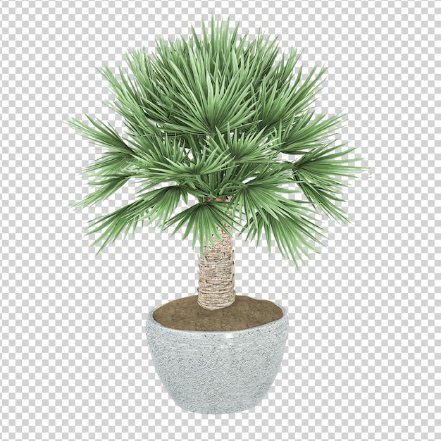 Decoración de plantas render 3d