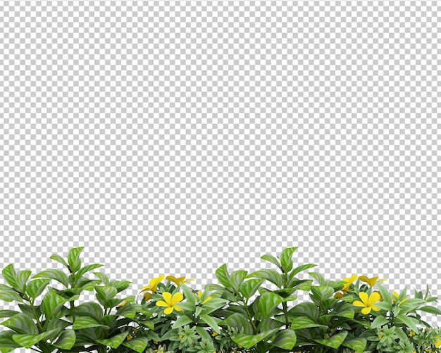 decoración de plantas tropicales aisladas