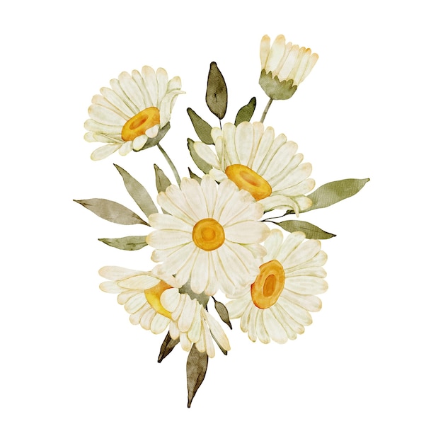 Decorazione di disposizione floreale della margherita dell'acquerello
