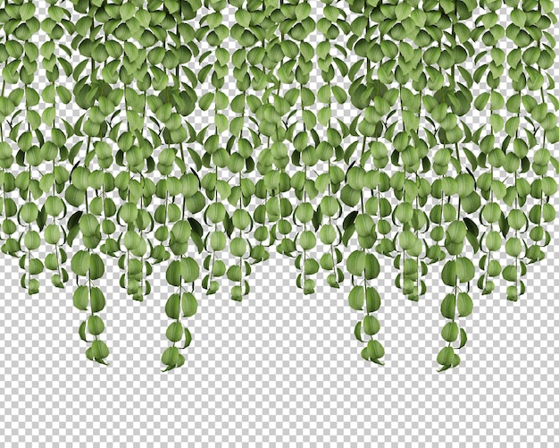 decorazione di piante tropicali isolate