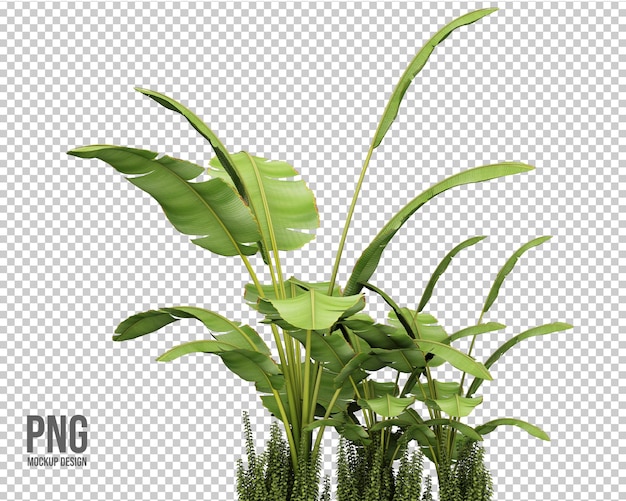 decorazione isolata raccolta di piante tropicali