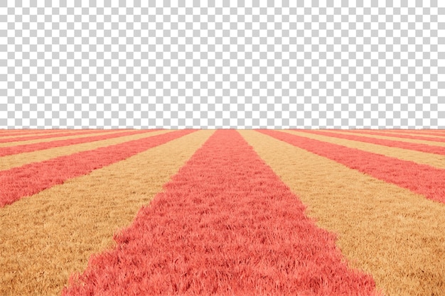 Découpe de paysage de champ d'herbe à rayures roses