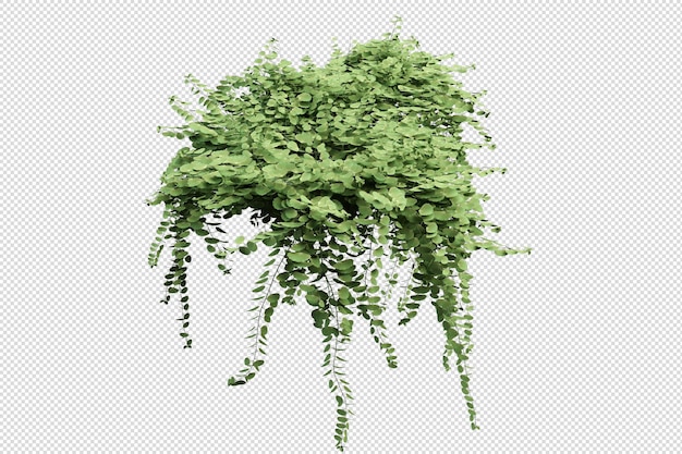 Découper la fougère en rendu 3d