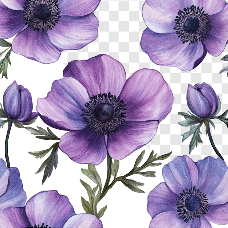 PSD delicada acuarela anémonas púrpuras diseño floral elegante belleza botánica