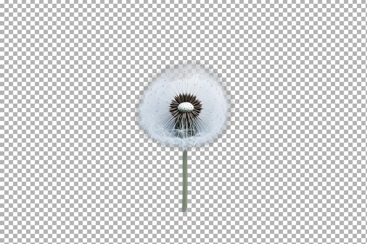 PSD la delicada belleza de un bocado de diente de león balanceándose suavemente en la suave brisa bajo un cielo despejado