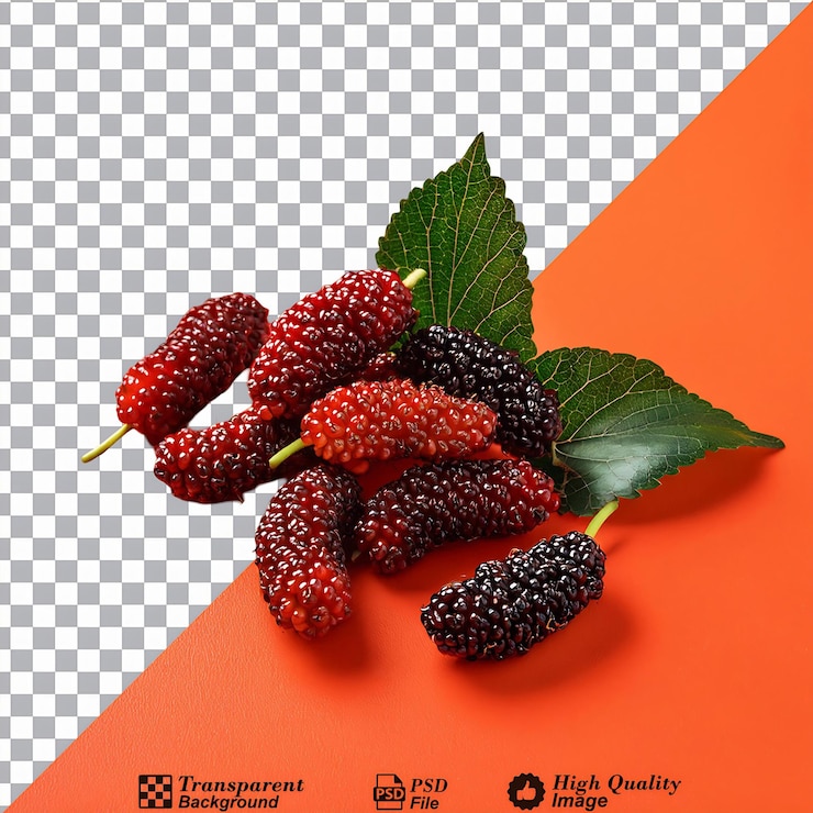 PSD delicadas moras con hojas verdes vibrantes