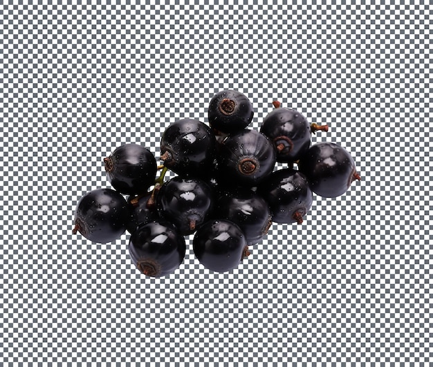 PSD délicieux currants noirs séchés isolés sur fond blanc