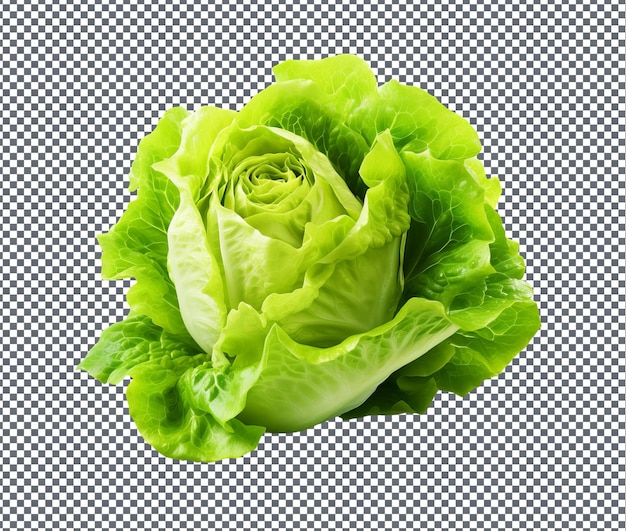 Deliciosa lechuga fresca aislada sobre un fondo transparente