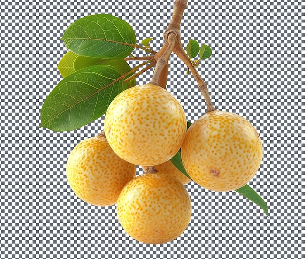 PSD delicioso longan amarillo aislado sobre un fondo transparente