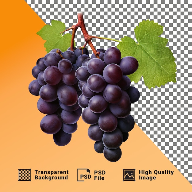 PSD delicioso un ramo de uvas aisladas en un fondo transparente png