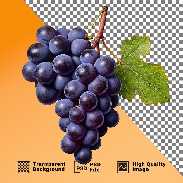 PSD delicioso un ramo de uvas aisladas en un fondo transparente png