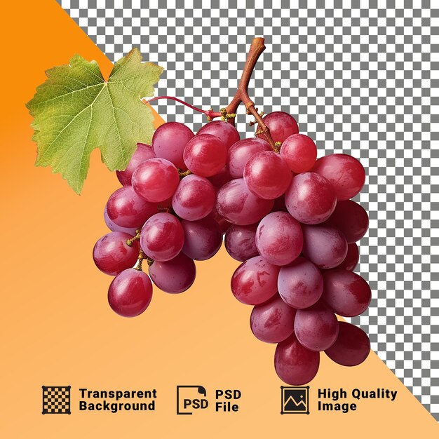 PSD delicioso um feixe de uvas isoladas em um fundo transparente png