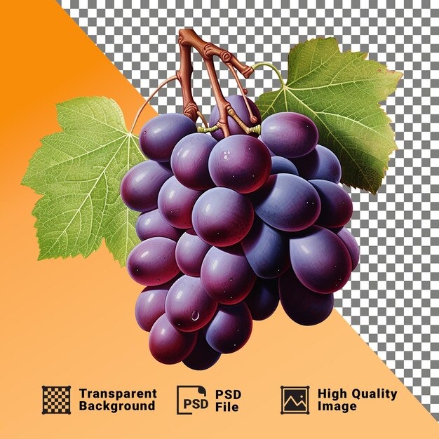 PSD delicioso um feixe de uvas isoladas em um fundo transparente png