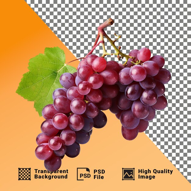 PSD delicioso um feixe de uvas isoladas em um fundo transparente png